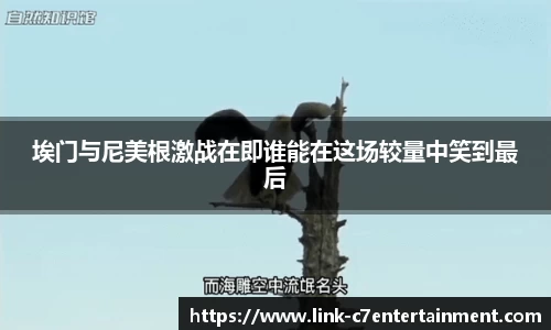 c7娱乐